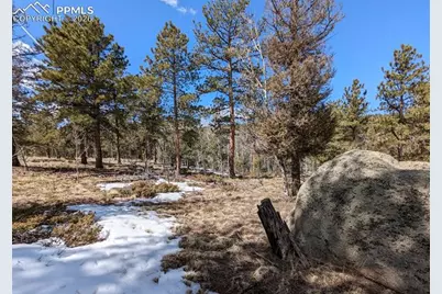 1620 Park Ridge Drive, Guffey, CO 80820 - Photo 7