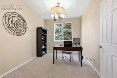 901 Prickly Pear Place, Colorado Springs, CO 80921 - Photo 25