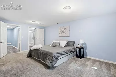 901 Prickly Pear Place, Colorado Springs, CO 80921 - Photo 41
