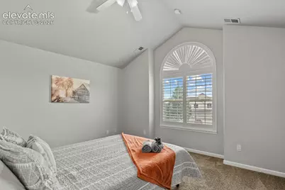 334 Green Rock Place, Monument, CO 80132 - Photo 29