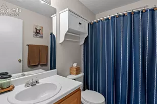 7685 Barn Owl Dr, Fountain, CO 80817 - Photo 19