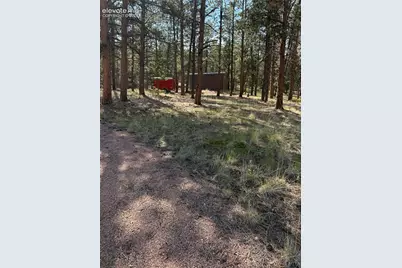 39 Rabbil Creek Trail, Florissant, CO 80816 - Photo 7