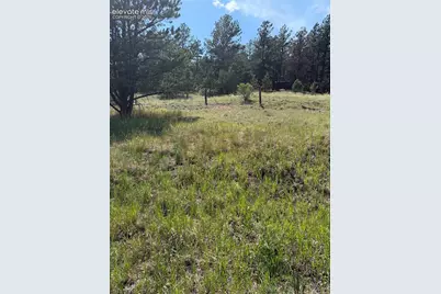39 Rabbil Creek Trail, Florissant, CO 80816 - Photo 5