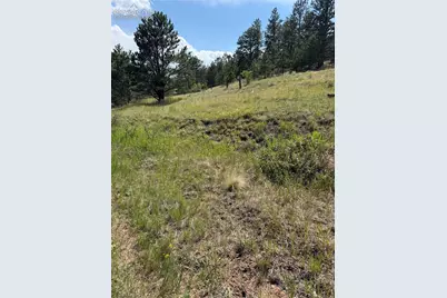 39 Rabbil Creek Trail, Florissant, CO 80816 - Photo 7