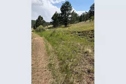 39 Rabbil Creek Trail, Florissant, CO 80816 - Photo 1