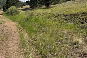 39 Rabbil Crk Trl, Florissant, CO 80816 - Photo 1