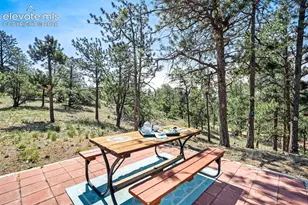 693 Black Mesa Cir, Florissant, CO 80816 - Photo 35