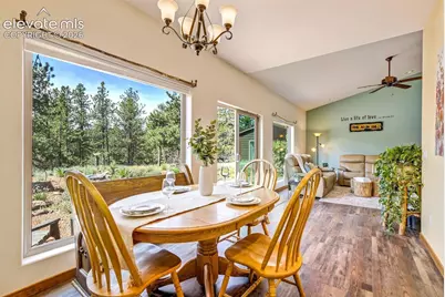 693 Black Mesa Circle, Florissant, CO 80816 - Photo 15