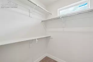 3005 Curly Grv, Colorado Springs, CO 80922 - Photo 35