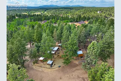 4269 County Road 51 Road, Divide, CO 80814 - Photo 29