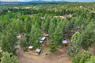 4269 County Road 51 Rd, Divide, CO 80814 - Photo 29