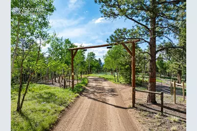4269 County Road 51 Road, Divide, CO 80814 - Photo 23