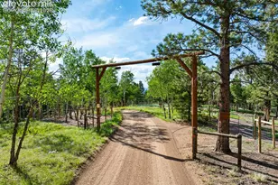 4269 County Road 51 Rd, Divide, CO 80814 - Photo 23