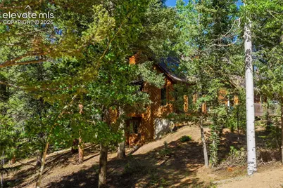 886 Cottonwood Lake Drive, Divide, CO 80814 - Photo 45