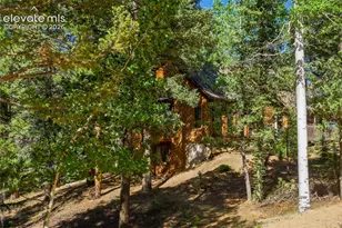 886 Cottonwood Lake Dr, Divide, CO 80814 - Photo 45