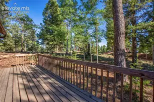 886 Cottonwood Lake Dr, Divide, CO 80814 - Photo 29