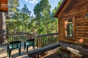 886 Cottonwood Lake Dr, Divide, CO 80814 - Photo 31