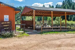 886 Cottonwood Lake Dr, Divide, CO 80814 - Photo 33