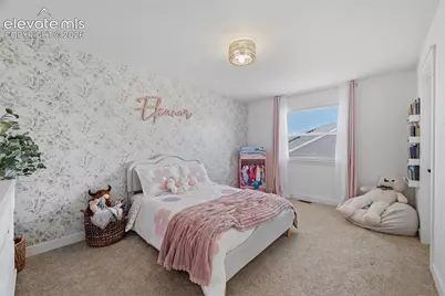 7055 Antonito Court, Colorado Springs, CO 80918 - Photo 29