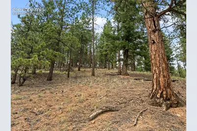 3919 County Road 33, Sedalia, CO 80135 - Photo 13