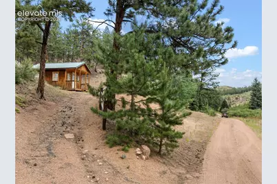 3919 County Road 33, Sedalia, CO 80135 - Photo 7