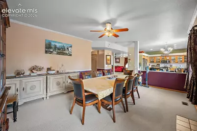 4866 Savannah Hawk Drive, Colorado Springs, CO 80916 - Photo 9