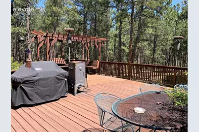 3375 Pinehurst Circle, Colorado Springs, CO 80908 - Photo 19