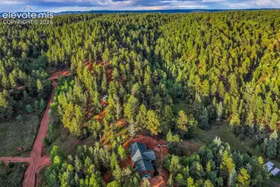 119 Remwood Circle, Divide, CO 80814 - Photo 49