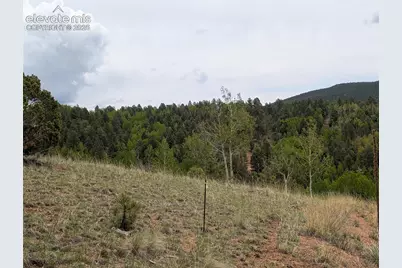 16 Princess Lane, Cripple Creek, CO 80813 - Photo 3