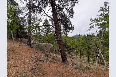 16 Princess Lane, Cripple Creek, CO 80813 - Photo 5