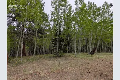 16 Princess Lane, Cripple Creek, CO 80813 - Photo 19