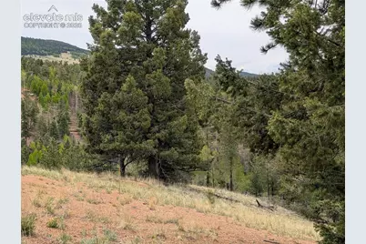 16 Princess Lane, Cripple Creek, CO 80813 - Photo 9