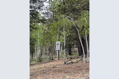 16 Princess Lane, Cripple Creek, CO 80813 - Photo 13