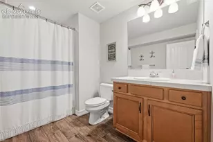 9963 Cub Lake Trail, Colorado Springs, CO 80924 - Photo 47