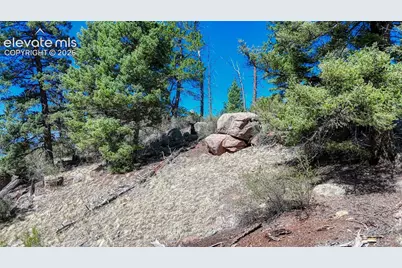 3454 N Mountain Estates Road, Florissant, CO 80816 - Photo 9