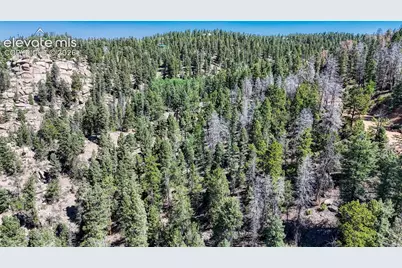 3454 N Mountain Estates Road, Florissant, CO 80816 - Photo 21