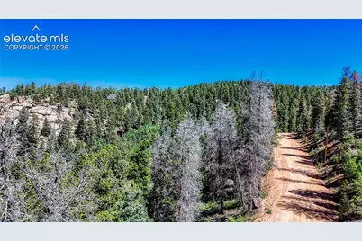 3454 N Mountain Estates Road, Florissant, CO 80816 - Photo 7