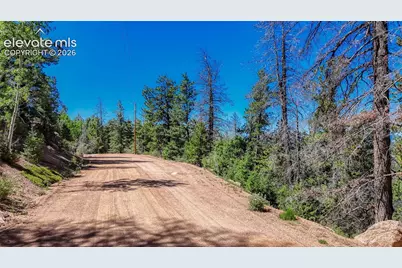 3454 N Mountain Estates Road, Florissant, CO 80816 - Photo 11