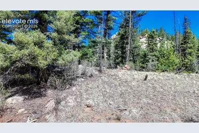 3454 N Mountain Estates Road, Florissant, CO 80816 - Photo 15