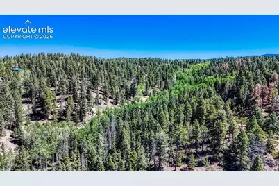 3454 N Mountain Estates Road, Florissant, CO 80816 - Photo 25