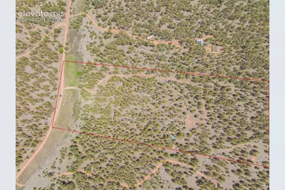 4250 Doe Valley Road, Guffey, CO 80820 - Photo 33