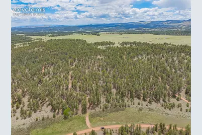 4250 Doe Valley Road, Guffey, CO 80820 - Photo 7