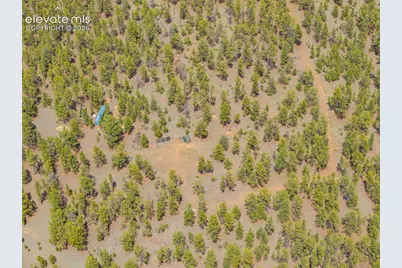 4250 Doe Valley Road, Guffey, CO 80820 - Photo 11