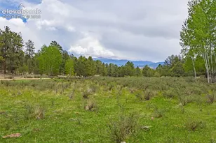 4250 Doe Valley Rd, Guffey, CO 80820 - Photo 1