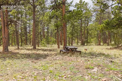 4250 Doe Valley Road, Guffey, CO 80820 - Photo 15