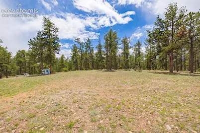 4250 Doe Valley Road, Guffey, CO 80820 - Photo 19