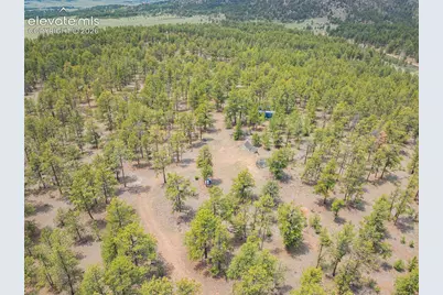 4250 Doe Valley Road, Guffey, CO 80820 - Photo 25