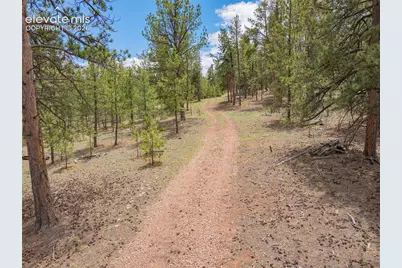 4250 Doe Valley Road, Guffey, CO 80820 - Photo 21