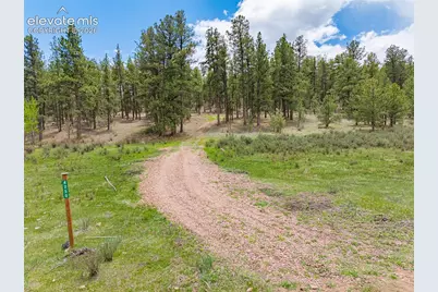 4250 Doe Valley Road, Guffey, CO 80820 - Photo 3