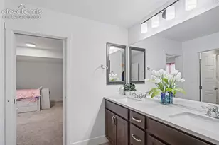 9234 Gallery Pl, Colorado Springs, CO 80924 - Photo 27